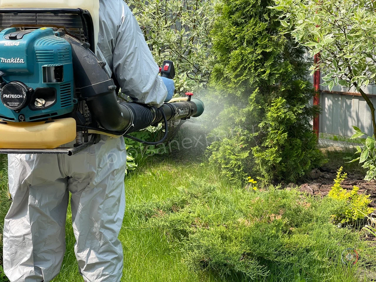 Галерея